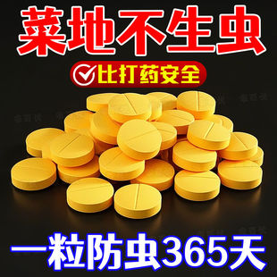 家庭园艺防虫片防小黑飞蚜虫白粉虱小菜蛾飞虫专用花卉绿植多肉