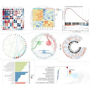 代谢组学测序数据分析 生信做图 转录组学 蛋白质组学 seq RNA