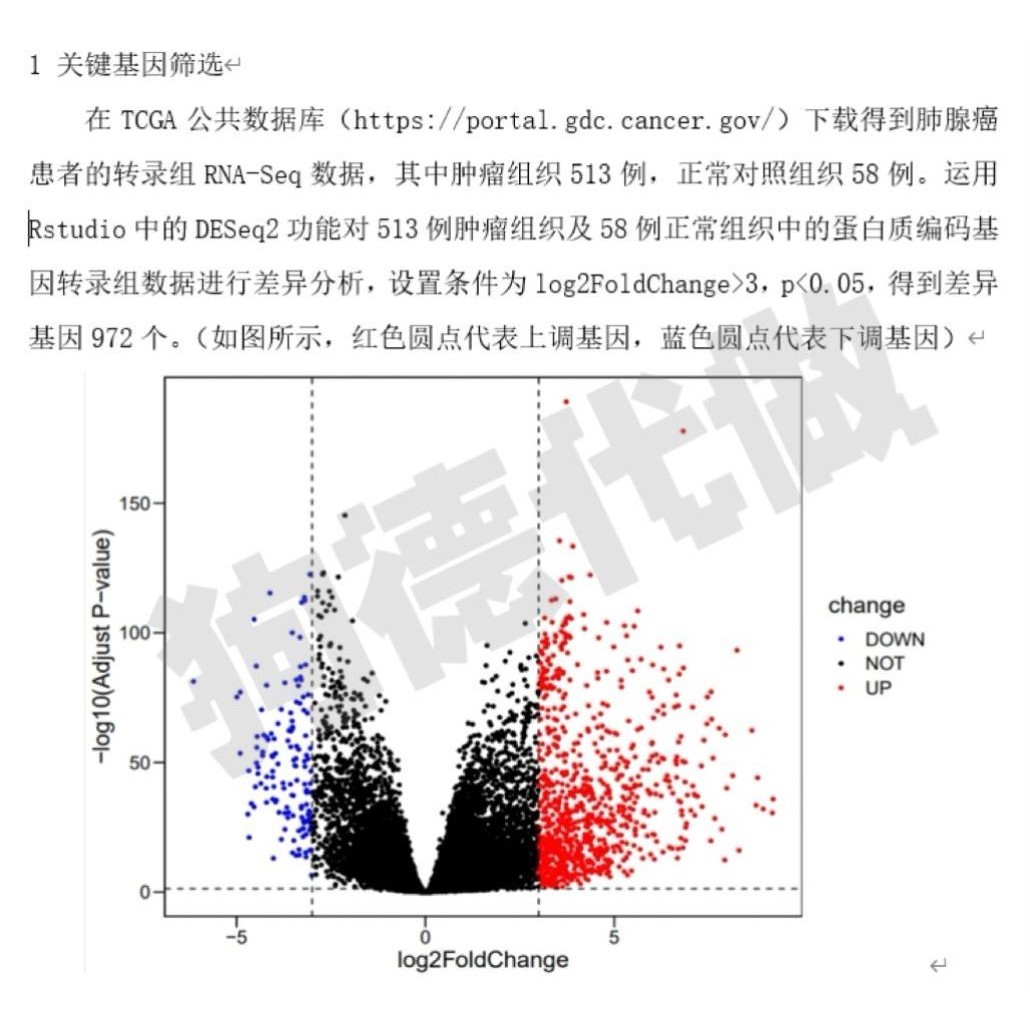 单细胞测序分析生信分析TCGA GEO数据挖掘转录组网络药理学