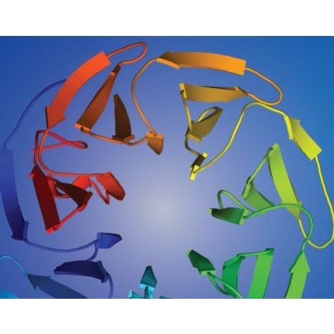 rosetta蛋白设计/建模/对接/rosetta视频教程