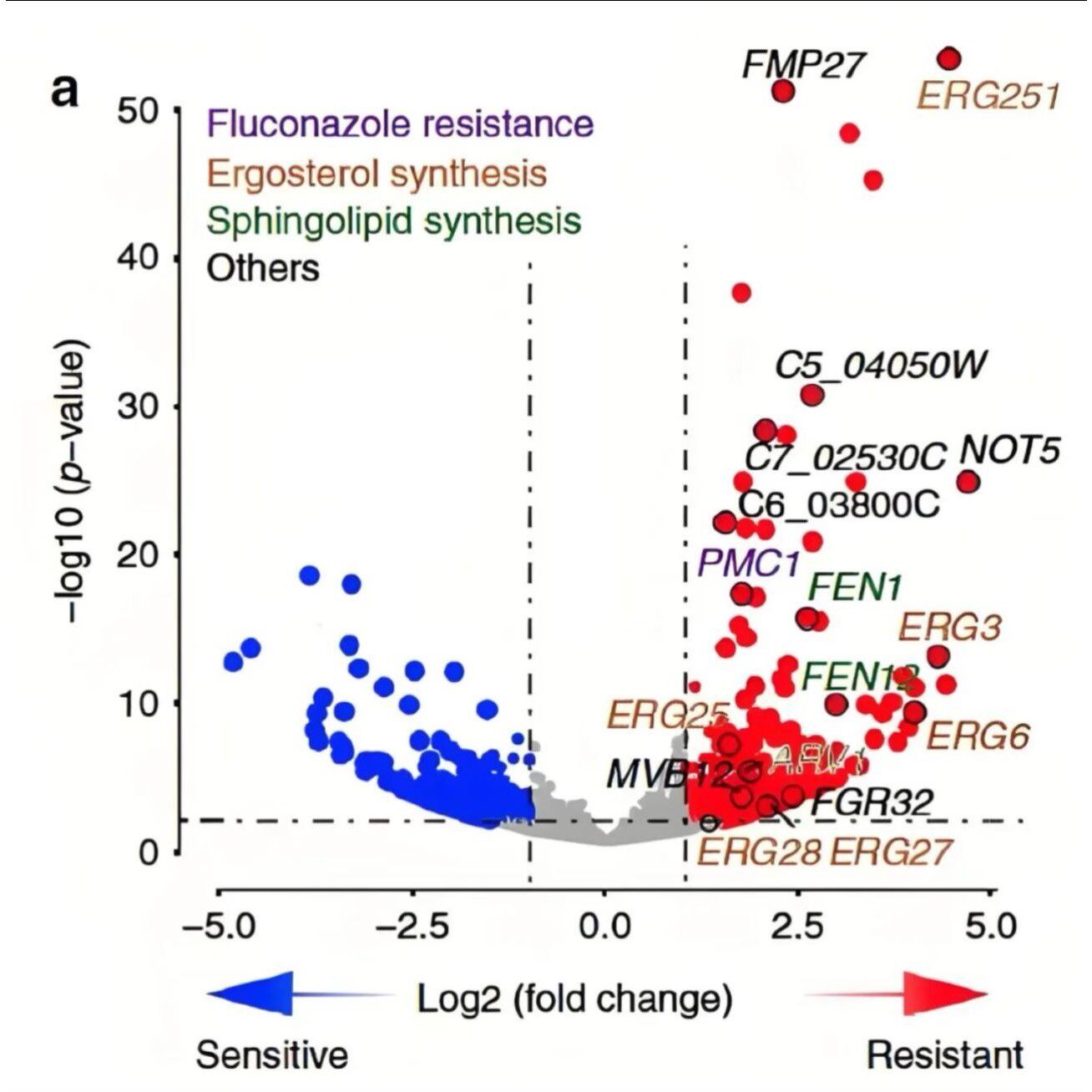 RNAseq数据分析代做含差异表达和lncRNA研究