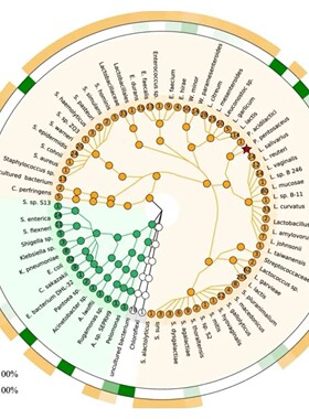 弋算分子动力学Gromacs lammpsamber模拟MDMC分子对接模拟