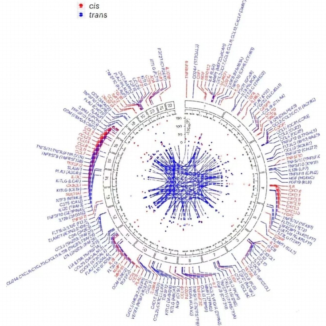 Python代编医学图像分割深度学习语义分割计算机视觉生成对抗网络