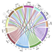 R语言代码 圈图和弦图circlize circos 数据分析挖掘