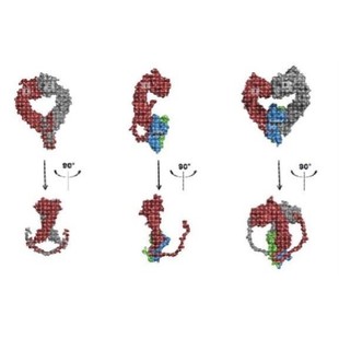 蛋白-蛋白对接 分析相互作用