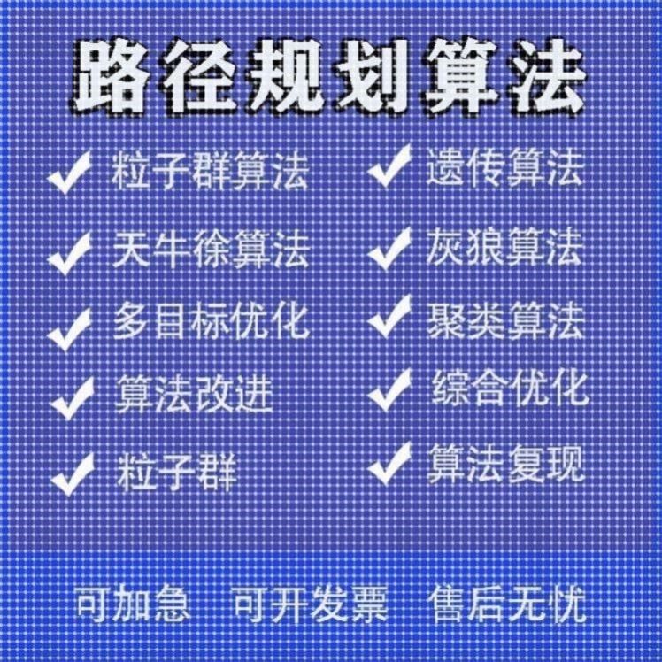 matlab路径规划遗传蚁群粒子群算法代做Python强化学习多目标优化