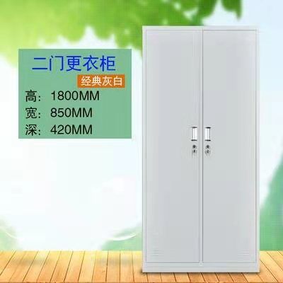 对开门更衣柜2门铁皮柜储物柜宿更衣柜