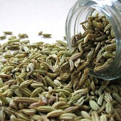 包邮 一斤江浙沪皖 50g 宿迁农家小茴香