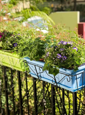 长方形树脂种花菜盆 悬挂阳台栏杆护栏铁艺挂花盆多肉阳台种菜盆