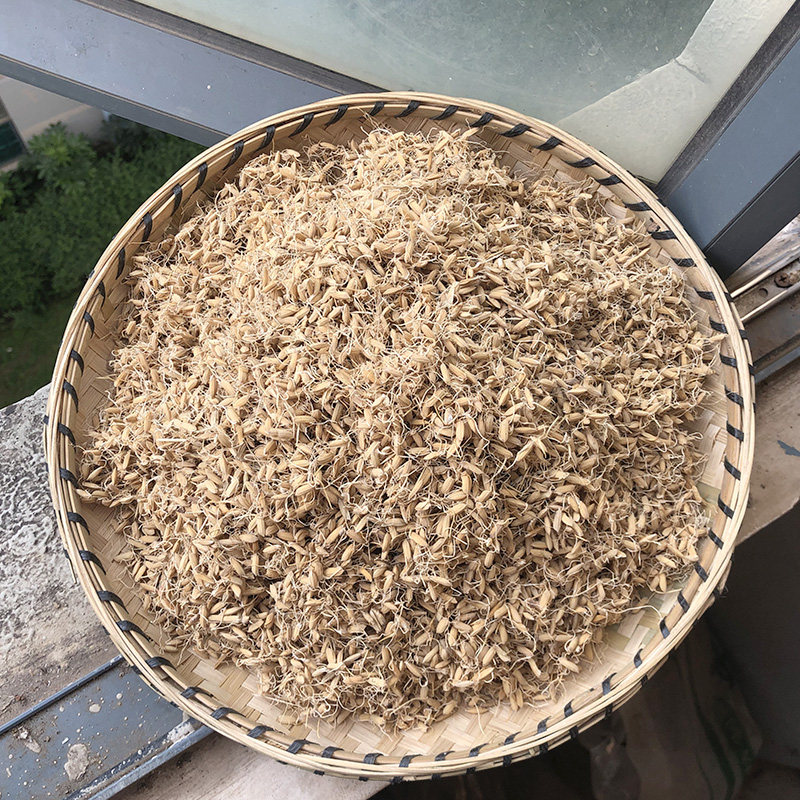 谷芽 云南散装稻芽 农家应季自采双芽粟芽 高原无硫生晒药材