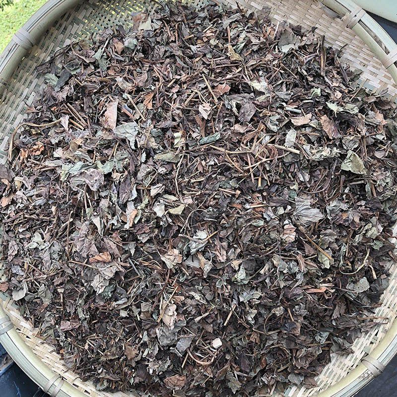 鱼腥草叶 云南散装鱼腥草根 当季新货 气味芳香 高原无硫药材