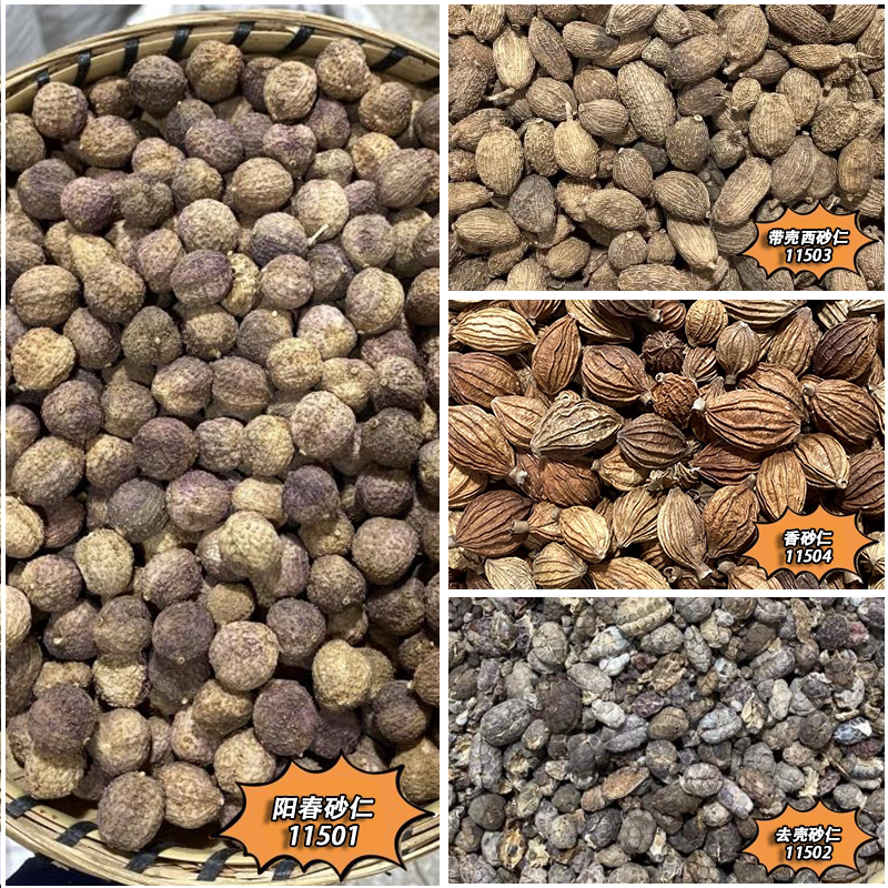 砂仁 云南春砂仁 自然晾晒精选气味浓烈辛香