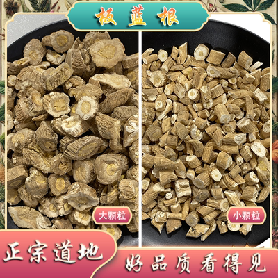 板蓝根北板蓝云南当季新产
