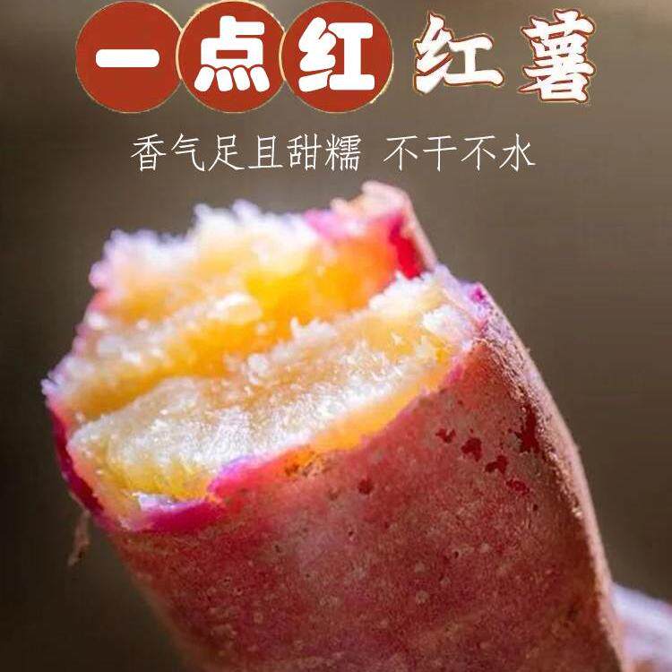 正宗广州南沙一点红番薯新鲜现挖冰淇淋红薯板栗薯自种蜜薯