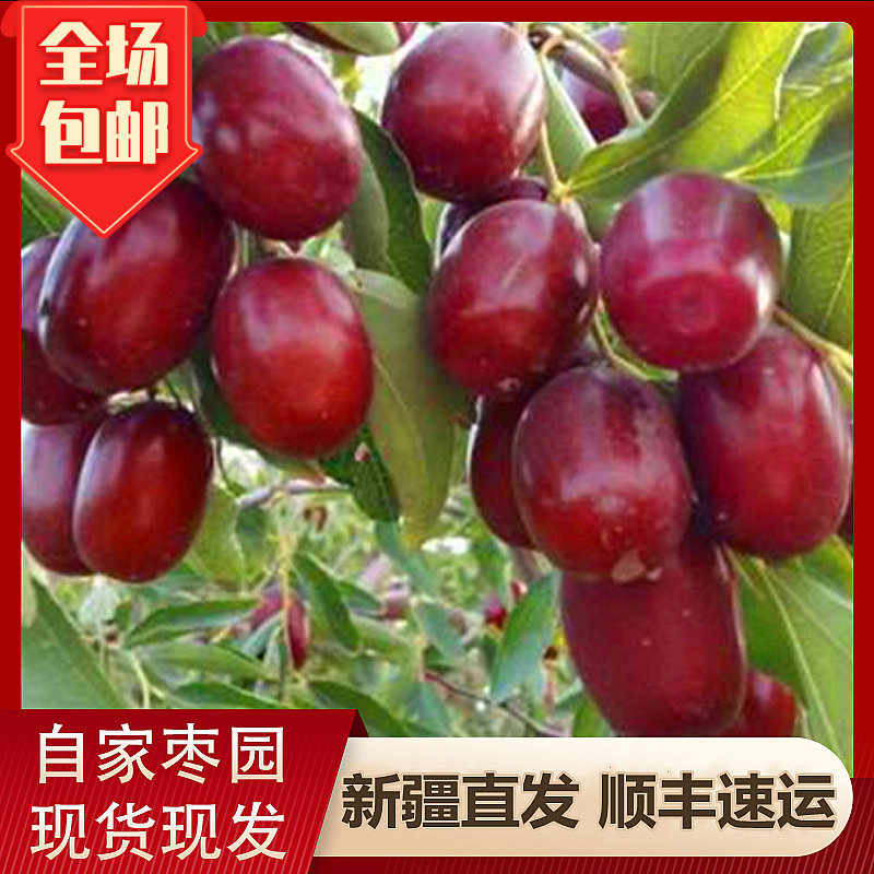 新疆鲜枣孕妇水果新疆鲜枣