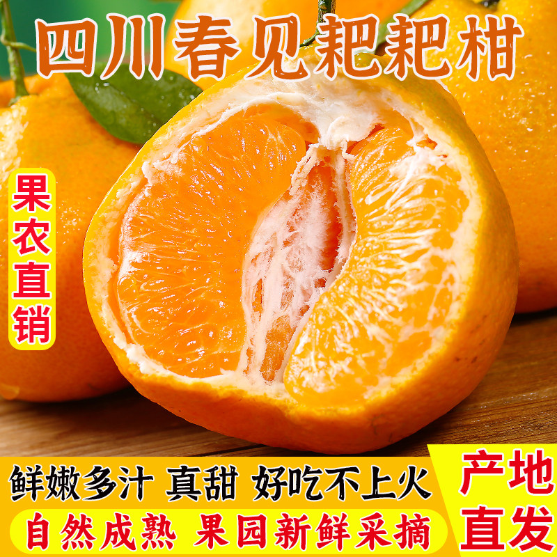 �Ĵ�üɽ�ҰҸ�������ժ�������������֭�и�ˮ������5-8����� 5���й���13-16���� 41.65Ԫ