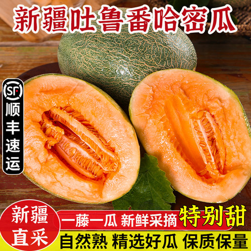 新疆吐鲁番哈密瓜现摘整箱包邮