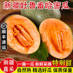新疆哈密瓜新鲜一箱西州蜜新鲜甜蜜瓜应季水果西州蜜2个瓜包邮