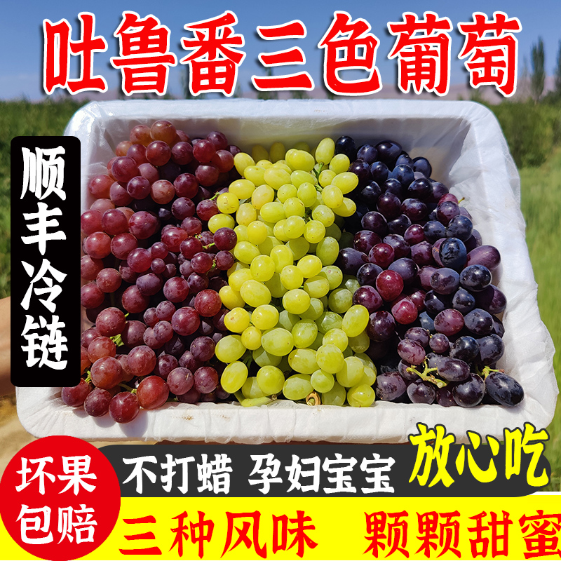 吐鲁番三色葡萄皮薄无籽脆甜爽口