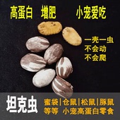 坦克虫松鼠花枝仓鼠飞鼠刺猬高蛋白营养增肥鲜虫卵蜜袋鼯零食物