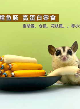 蜜袋鼯鳕鱼肠零食仓鼠花枝鼠食物