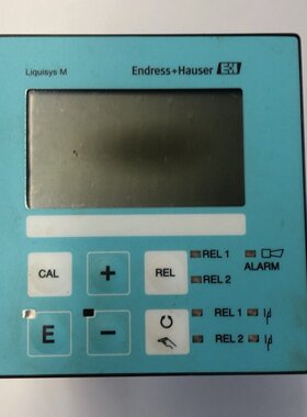 议价EndressHauser恩德斯豪斯控制器LIQUISYS