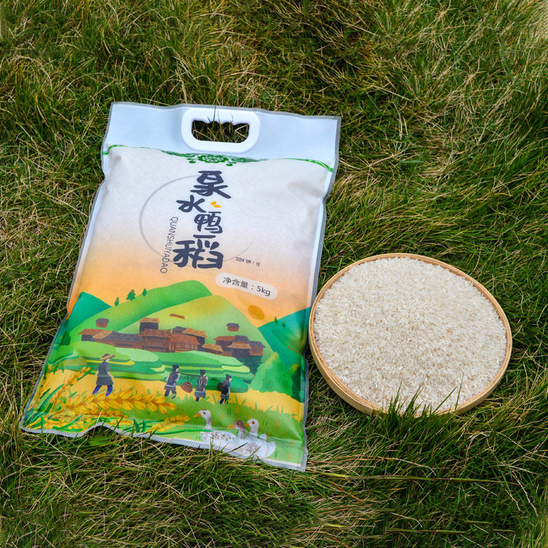 广西大米泉水鸭稻5kg九万黑美人泉水鸭米