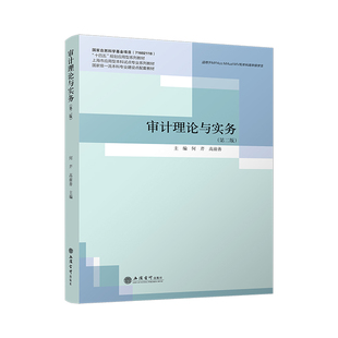 【立信仓库直发】审计理论与实务 第二版  注册会计师参考教材 典型的实际案例 政府审计 注册会计师  内部审计 出版社正版新书