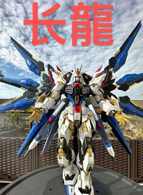再版长龙7701强袭自由MG1/100 国产拼装模型