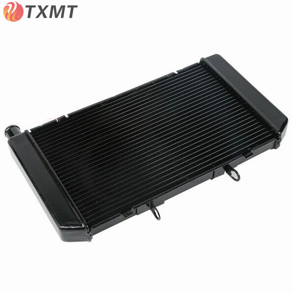 CB600FHORNET黄蜂水箱总成