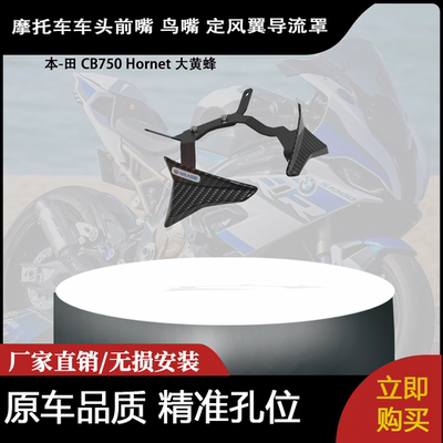 适合本-田 CB750 Hornet 大黄蜂 改装车头前嘴 鸟嘴 定风翼导流罩