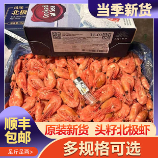 皇冠北极熊特大北极甜虾24年新货头籽70 90丹麦格陵兰熟冻即食