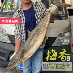 台山海产 广东梅香咸鱼 大条马鲛鱼 餐饮商用梅香马交 茄瓜煲料