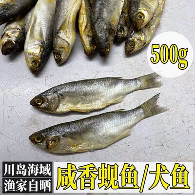 台山特产 犬鱼蚬鱼干 小海鱼 软鳞咸鱼500g 广东咸鱼 渔家自晒