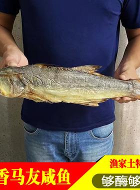 台山特产 广海咸鱼 广东梅香咸鱼 马友咸鱼干 非马鲛鱼 渔家风味