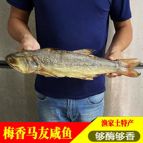 台山特产 广海咸鱼 广东梅香咸鱼 马友咸鱼干 非马鲛鱼 渔家风味