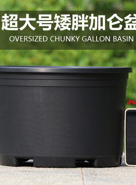 特大花盆大口径黑加仑盆栽花盆加厚黑色矮胖加仑花盆塑料绿萝月季