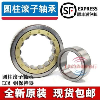 SKF进口N NJ NU 216 217 218 219 220 221 222 224 ECM ECP ECJC3