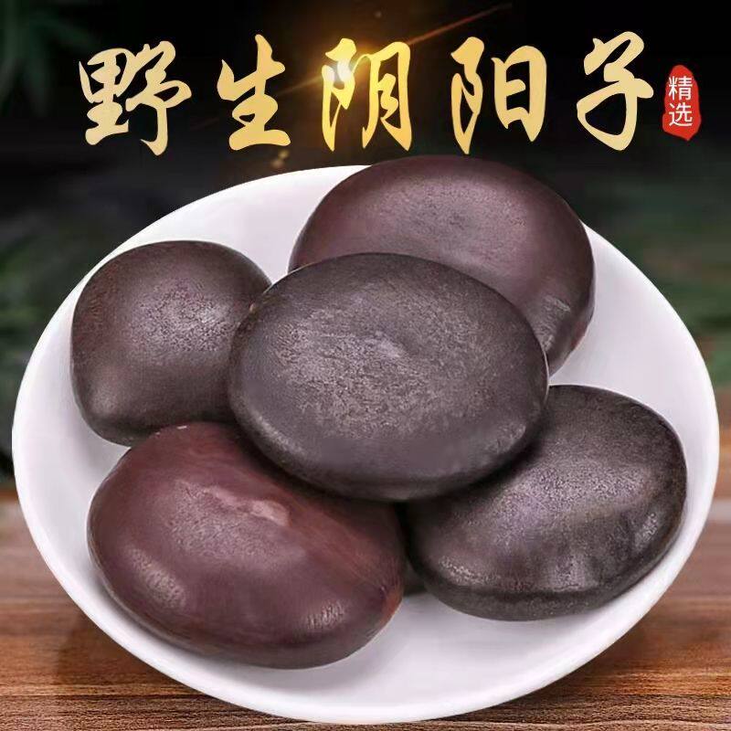 阴阳子 精选男性三宝泡酒料状阳肾龙凤子过江龙搭配风流果