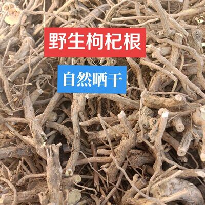 野生枸杞子树根枸杞根地骨根枸杞头枸杞子根新鲜煲汤晒干枸杞老根
