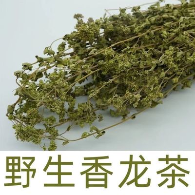 西充特产纯野生原生态生香龙草茶香龙茶香茹草茶香笼茶散装茶包邮