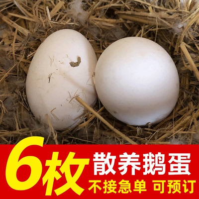 鹅蛋农家散养正宗土鹅蛋孕妇去胎毒新鲜生鹅蛋大鹅蛋80-120g克6枚