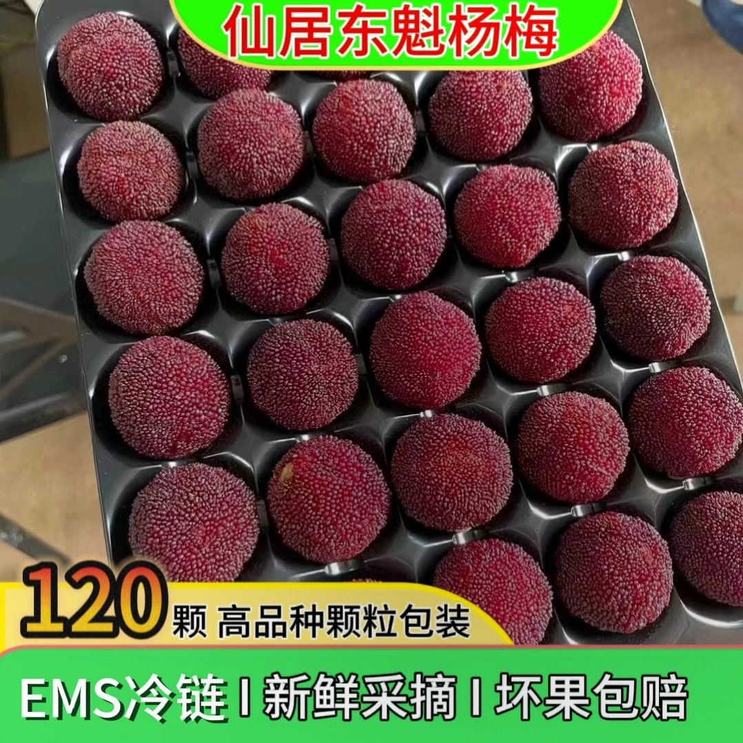 浙江仙居大东魁杨梅礼盒装