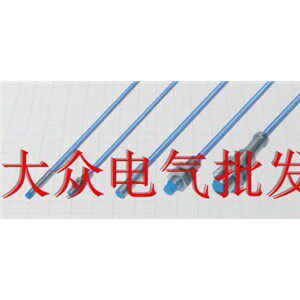全新德国DIETZ接近开关CH