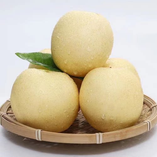 隔日达5斤皇冠梨脆梨现摘现发