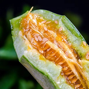 正宗潍坊羊角蜜现摘现发脆甜多汁4.5斤带箱二刀茬