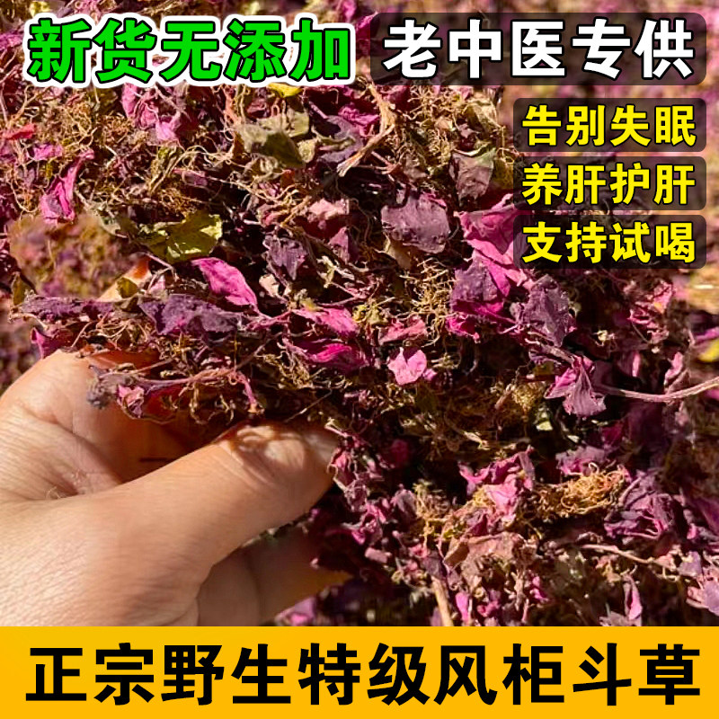 福建南靖野生特级风柜斗草楮头小叶风鼓草风谷草骨草500g整袋包邮