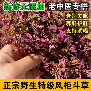 福建南靖野生特级风柜斗草楮头小叶风鼓草风谷草骨草500g整袋包邮