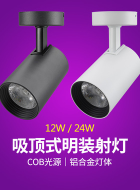 nVc雷士LED射灯SLED320S明装吸顶式 SLED320SA SLED320SC 12W24W