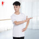 舞蹈服跳舞服练功服装 红舞鞋 莫代尔上衣圆领半袖 男士 35292象 短袖